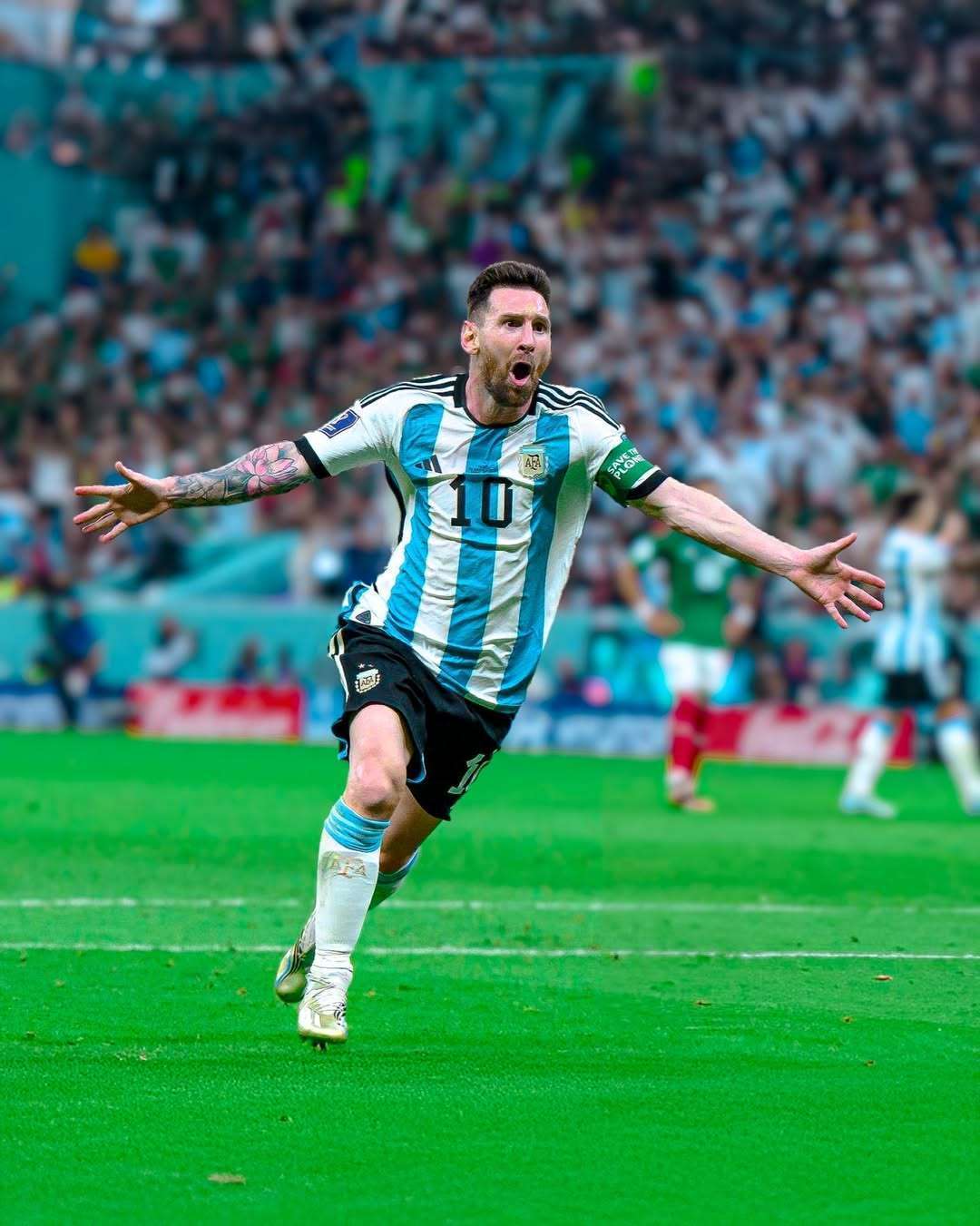 达到了新的 达到了新的