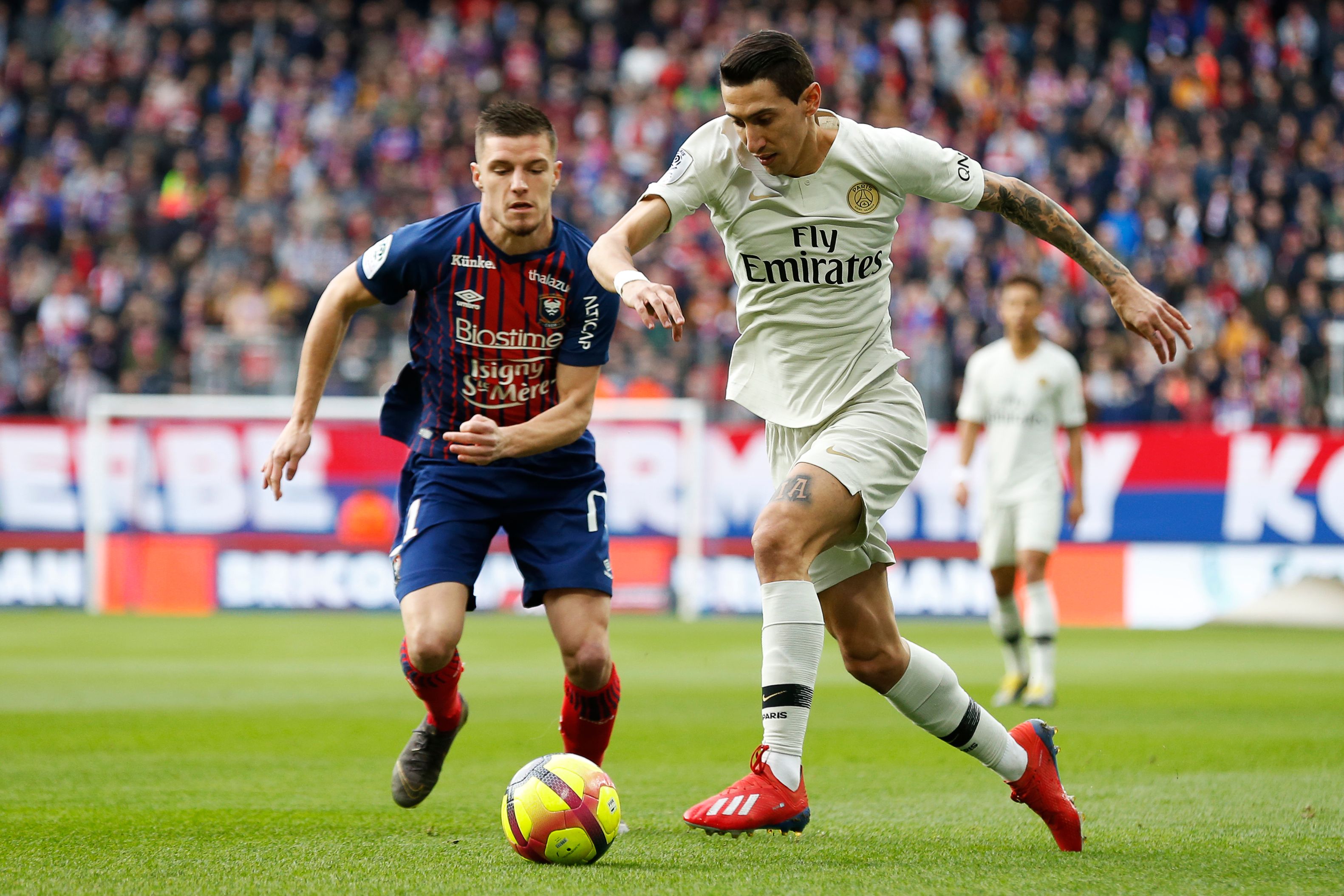 篮板长反成 篮板长反成